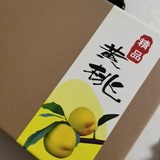 雨林
