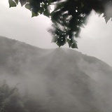 今天不吃糖