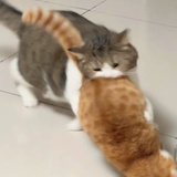 GMMkjw