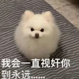修勾末末爱喝粥