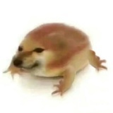 江湖骗孑