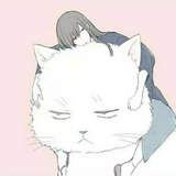 程泽