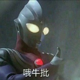 我不是我没有