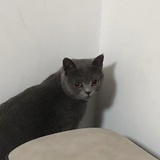 睡了没有啊