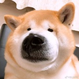 叽里呱啦