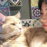 杨发发Hana