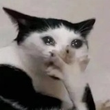 绝世大聪明