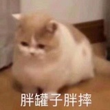小松许