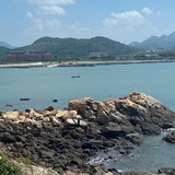 舞丫头