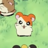 吱吱