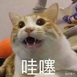 零暮