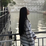 不在这里的海鸥