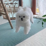 明天一定早睡