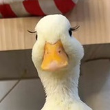 随便起个名