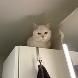 grieflove
