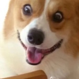 豆友225414282