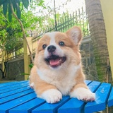 李毅
