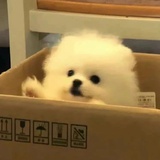 词不达意