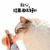 豆豆