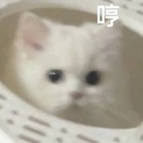 佚名