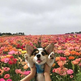 努力努力努力