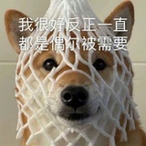 周笔畅的女朋友