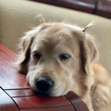 XiXiXiXiXi