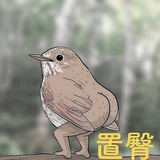 云中谁寄锦书来