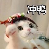 24喵