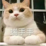 起飞的天妇罗