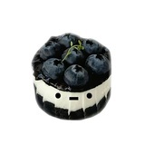 浮空的烧焦藤蔓