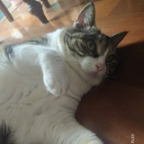 尊重爱情