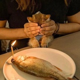 醉咯咯咯