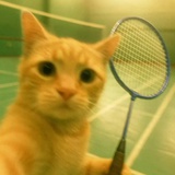 小忻使得万年船