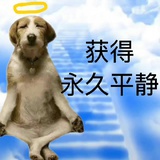 奔向最遥远城镇