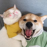 卡丁车