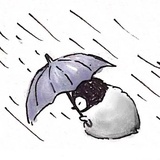 露露花生露