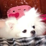 夜航船