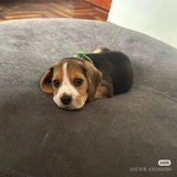 瑩
