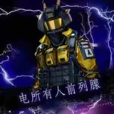 泰拉抗压王