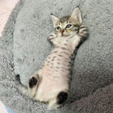 夏至