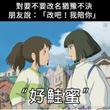 录制事故高发地