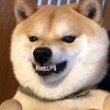 上官铁锤