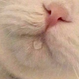 咕噜卡巴拉吧