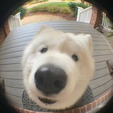 小胖妞