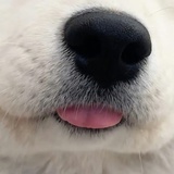 阿巴阿巴巴巴巴