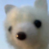 太阳
