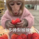 普通地球人