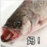 愚蠢的红烧猪脑