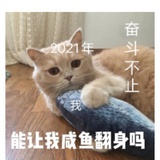 Q_Q（翻身中）